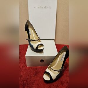 Charles David multiple color heels